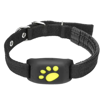 Pet Gps Tracker Collar