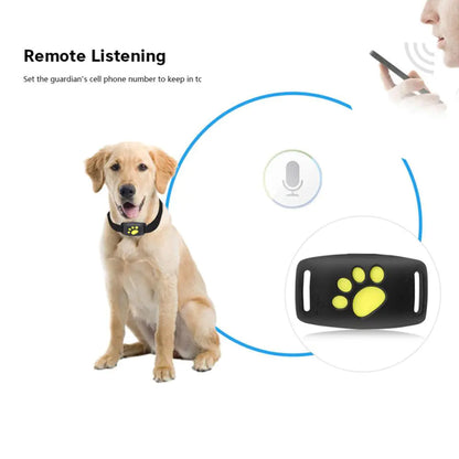 Pet Gps Tracker Collar