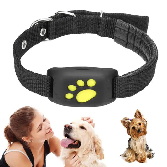 Pet Gps Tracker Collar