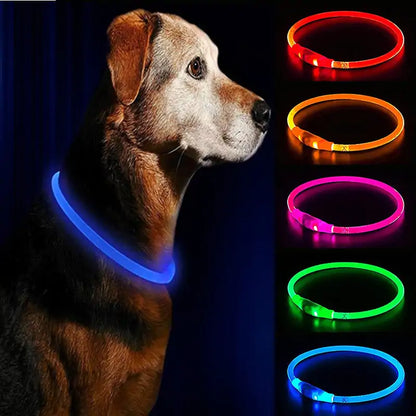 LED Waterproof Dog Collars Pets for Progress