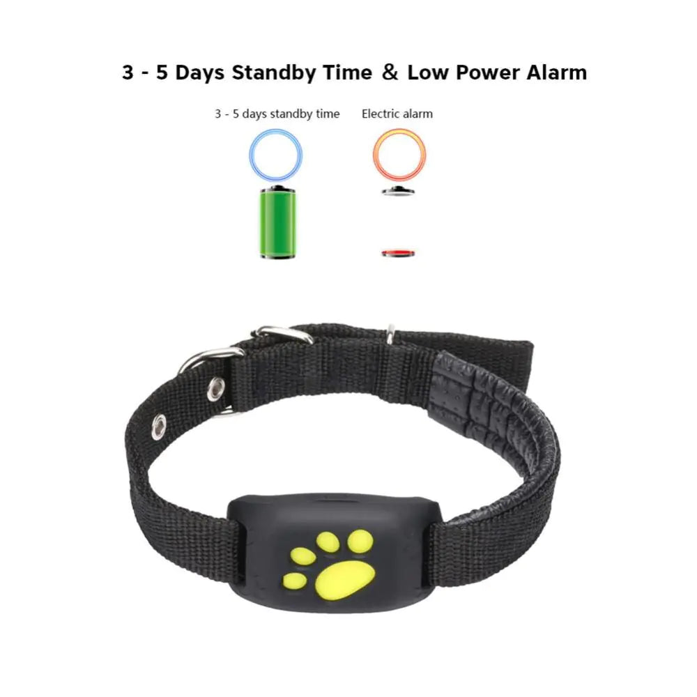 Pet Gps Tracker Collar